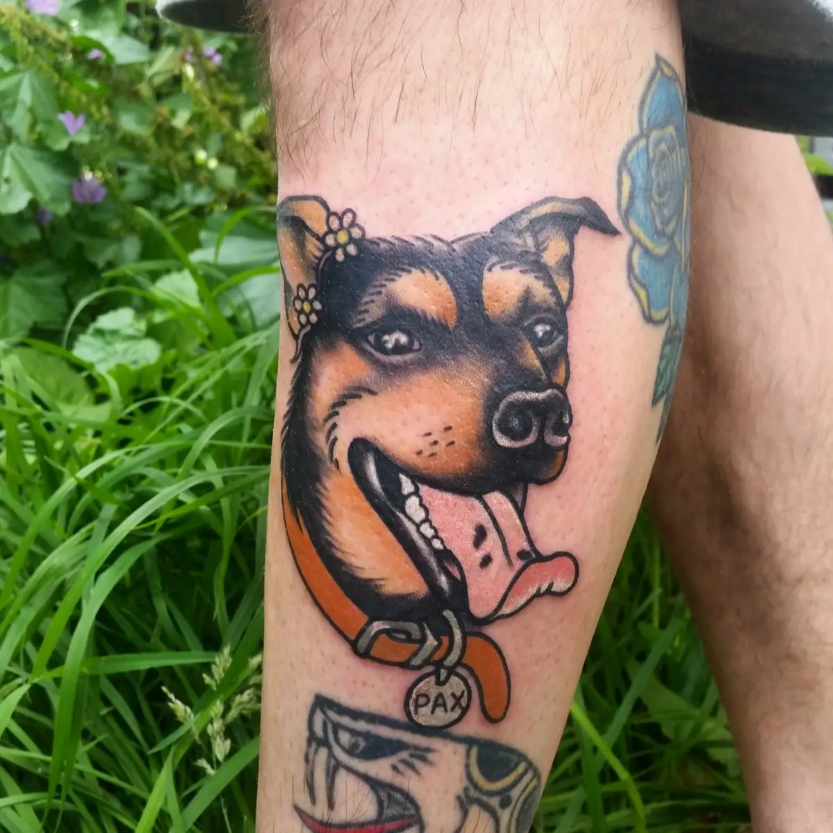 51093318014_84067687e6_o