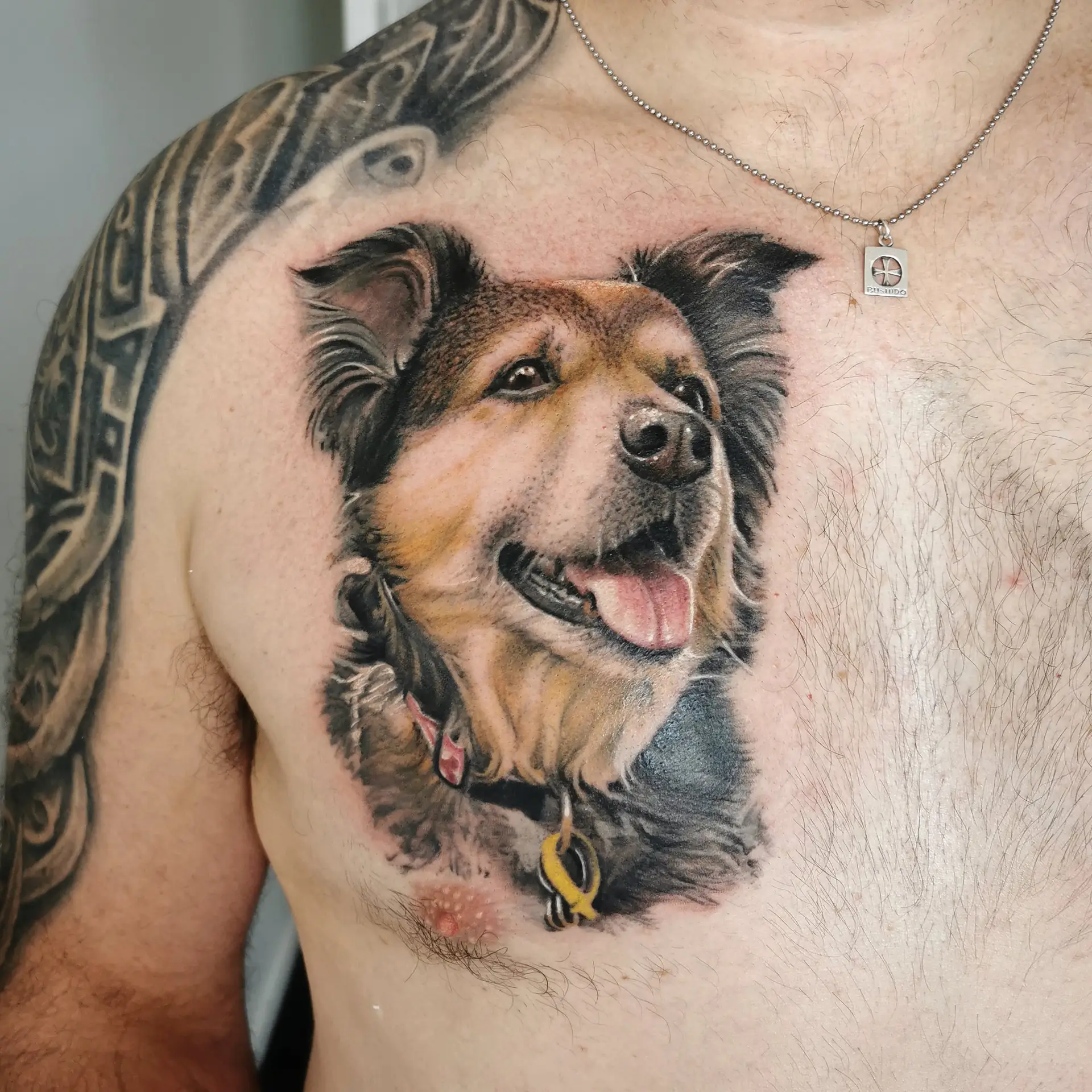 New Zealand - Tattoo Studio