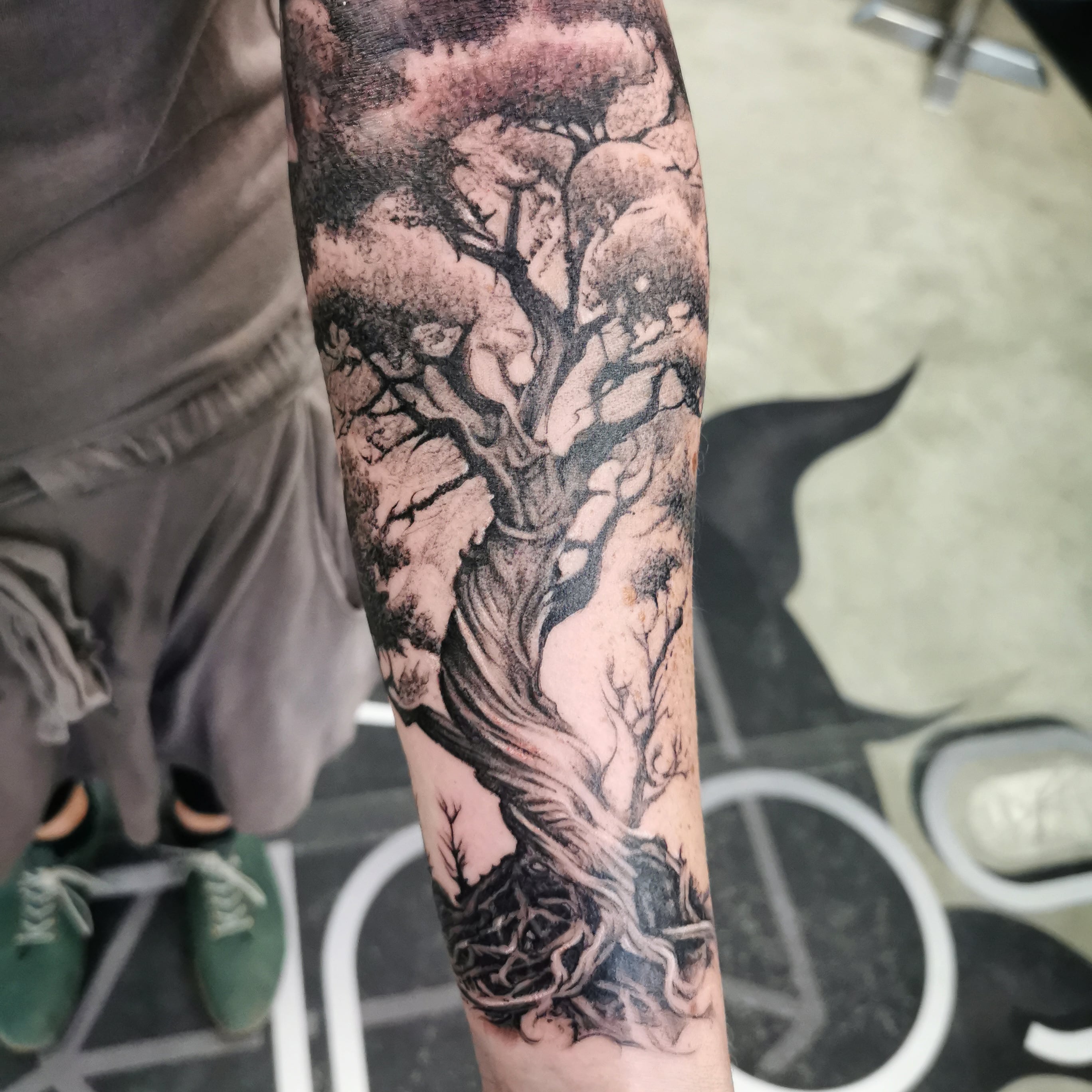 New Zealand - Tattoo Studio