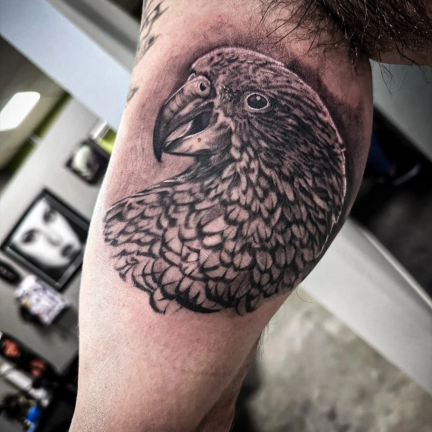 377932549_853690336112945_4483604020566521392_n