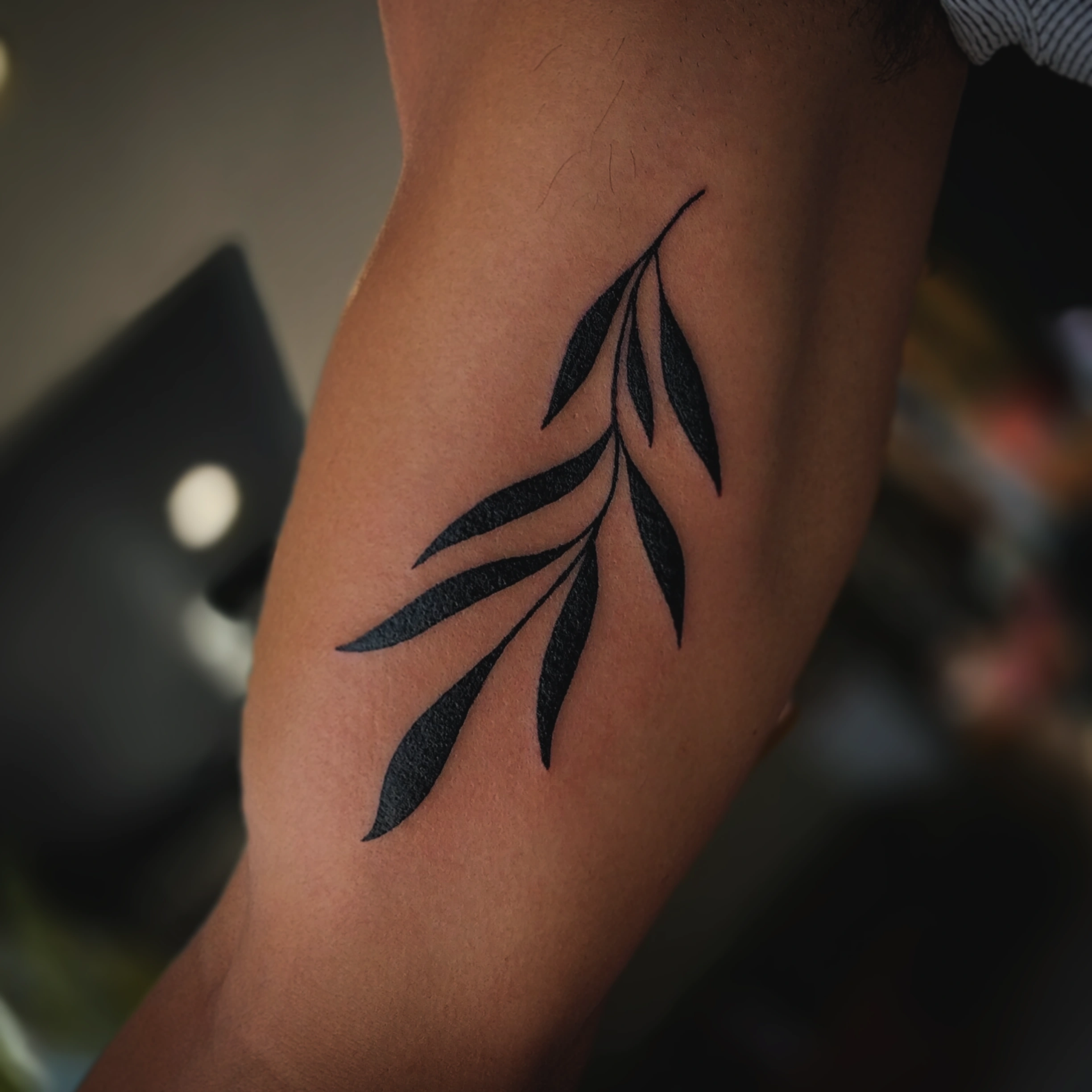 IMG_20241211_134547_177