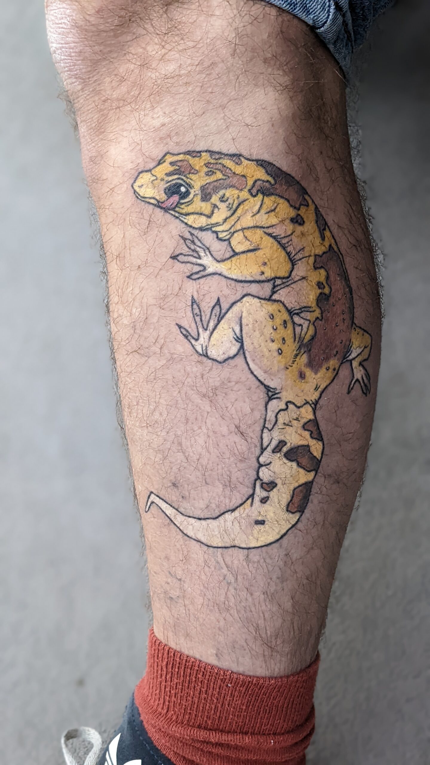 PXL_20221016_152811635.PORTRAIT