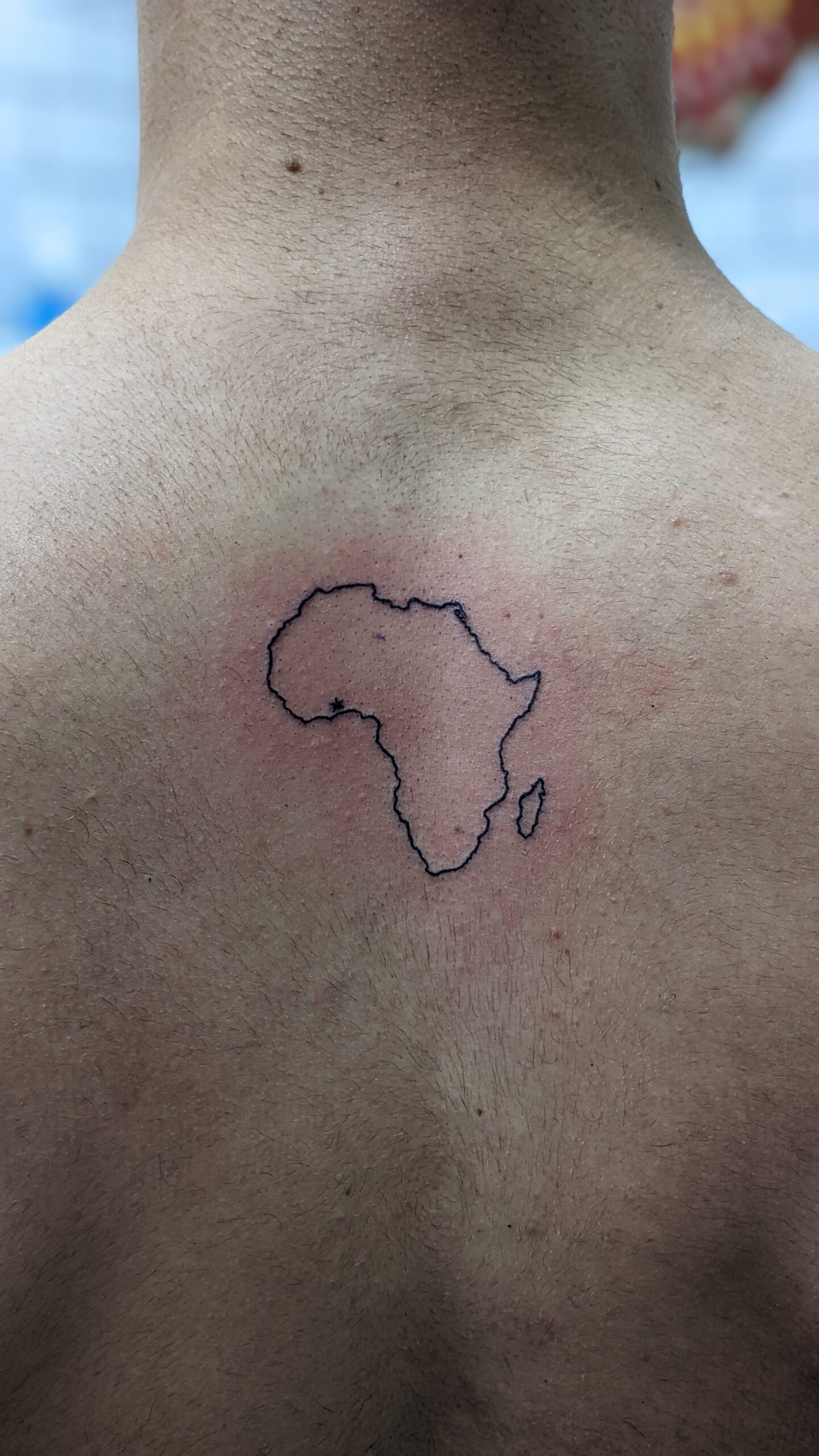 PXL_20221126_151220594.PORTRAIT