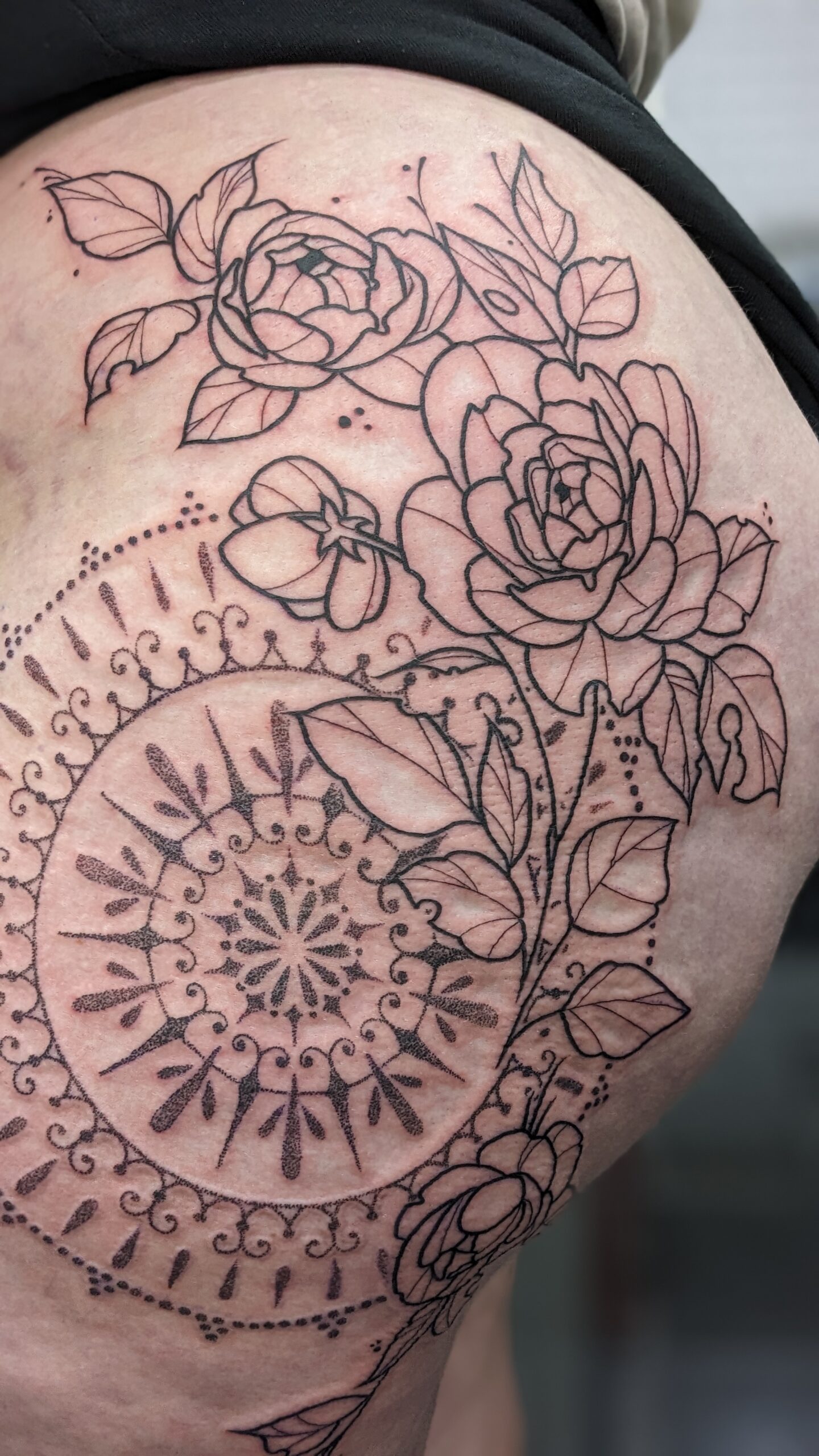 PXL_20230702_155507755.PORTRAIT