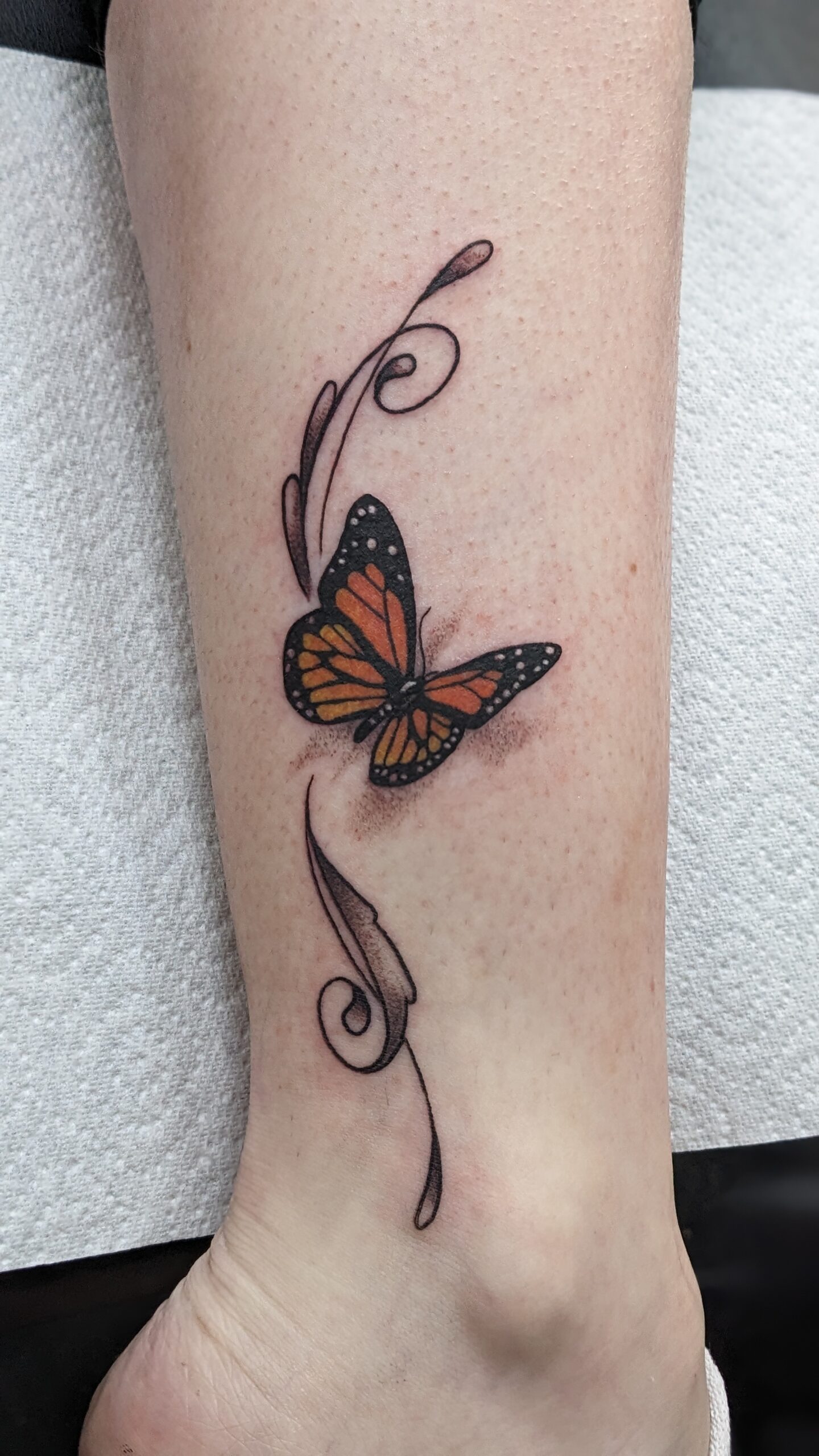 PXL_20230726_095241277.PORTRAIT