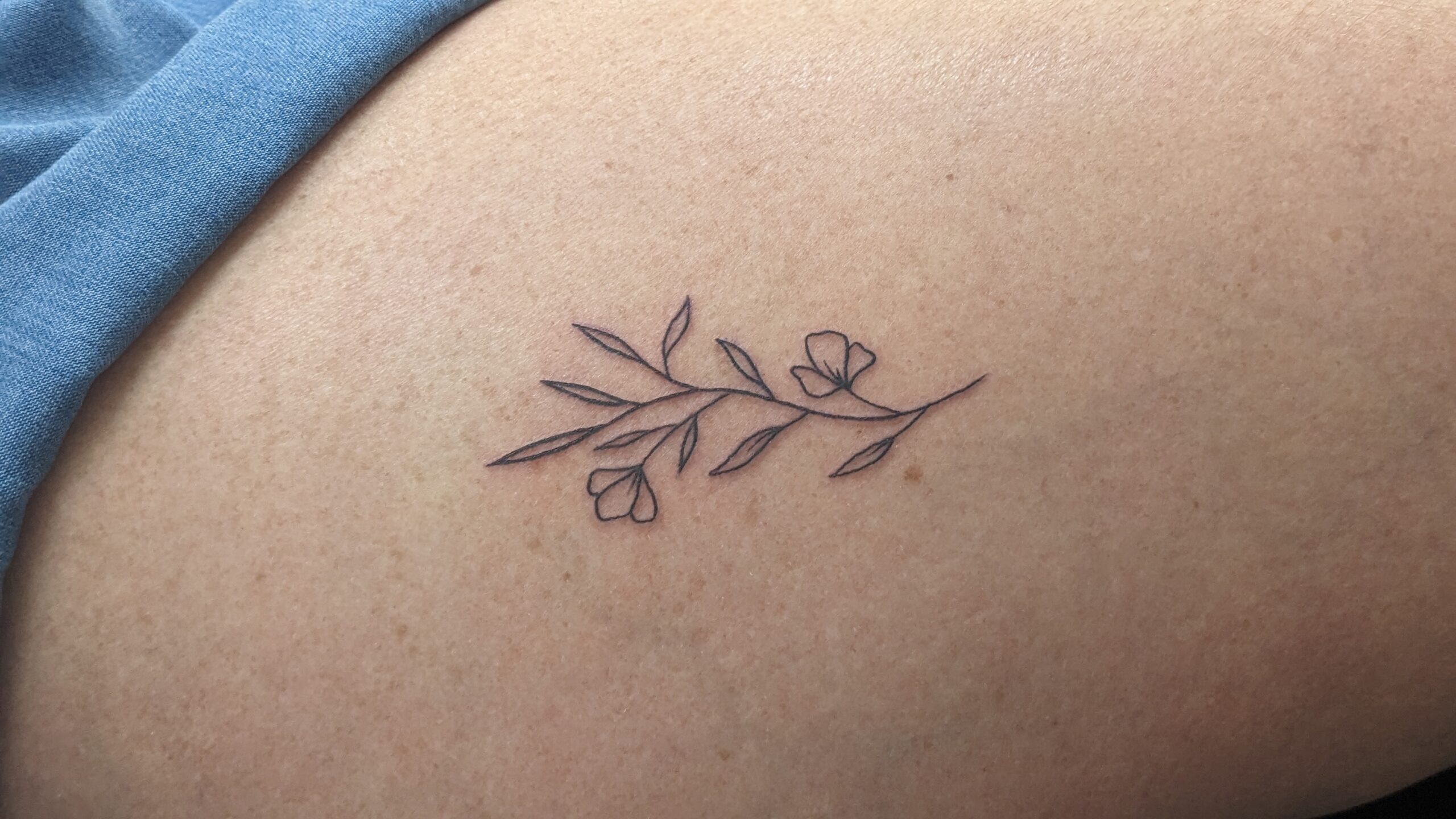 PXL_20230813_094055547.PORTRAIT.ORIGINAL