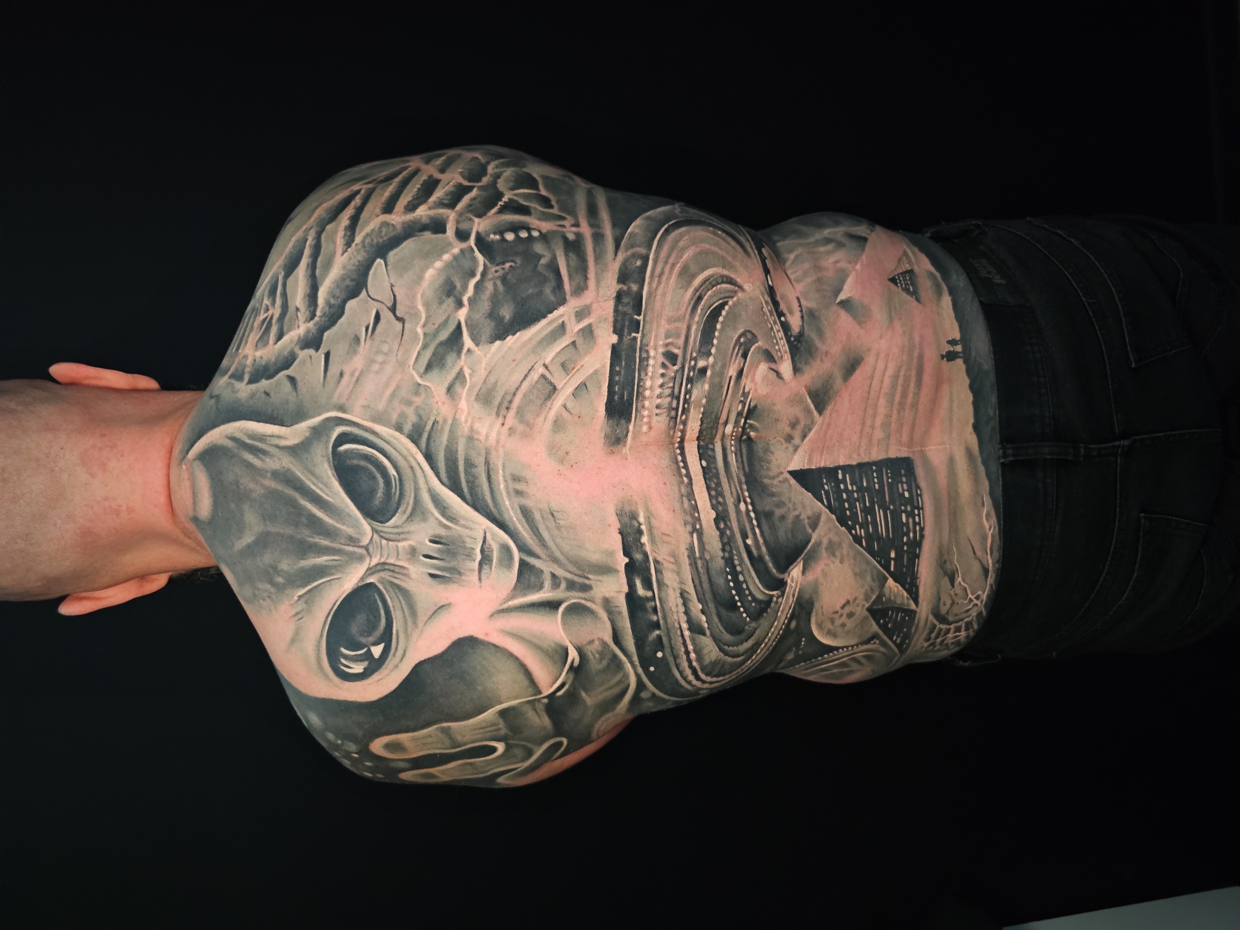 New Zealand - Tattoo Studio