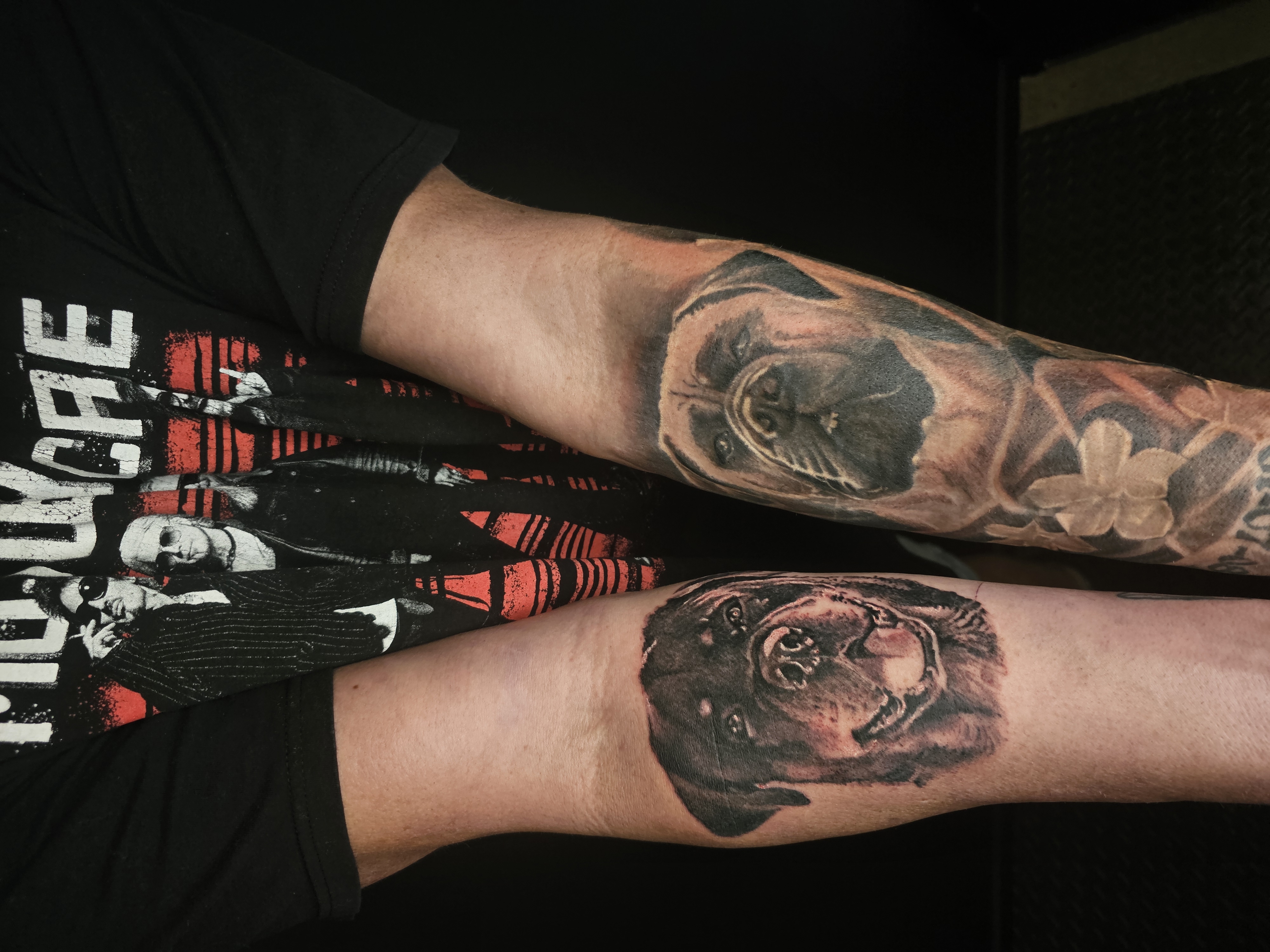 New Zealand - Tattoo Studio