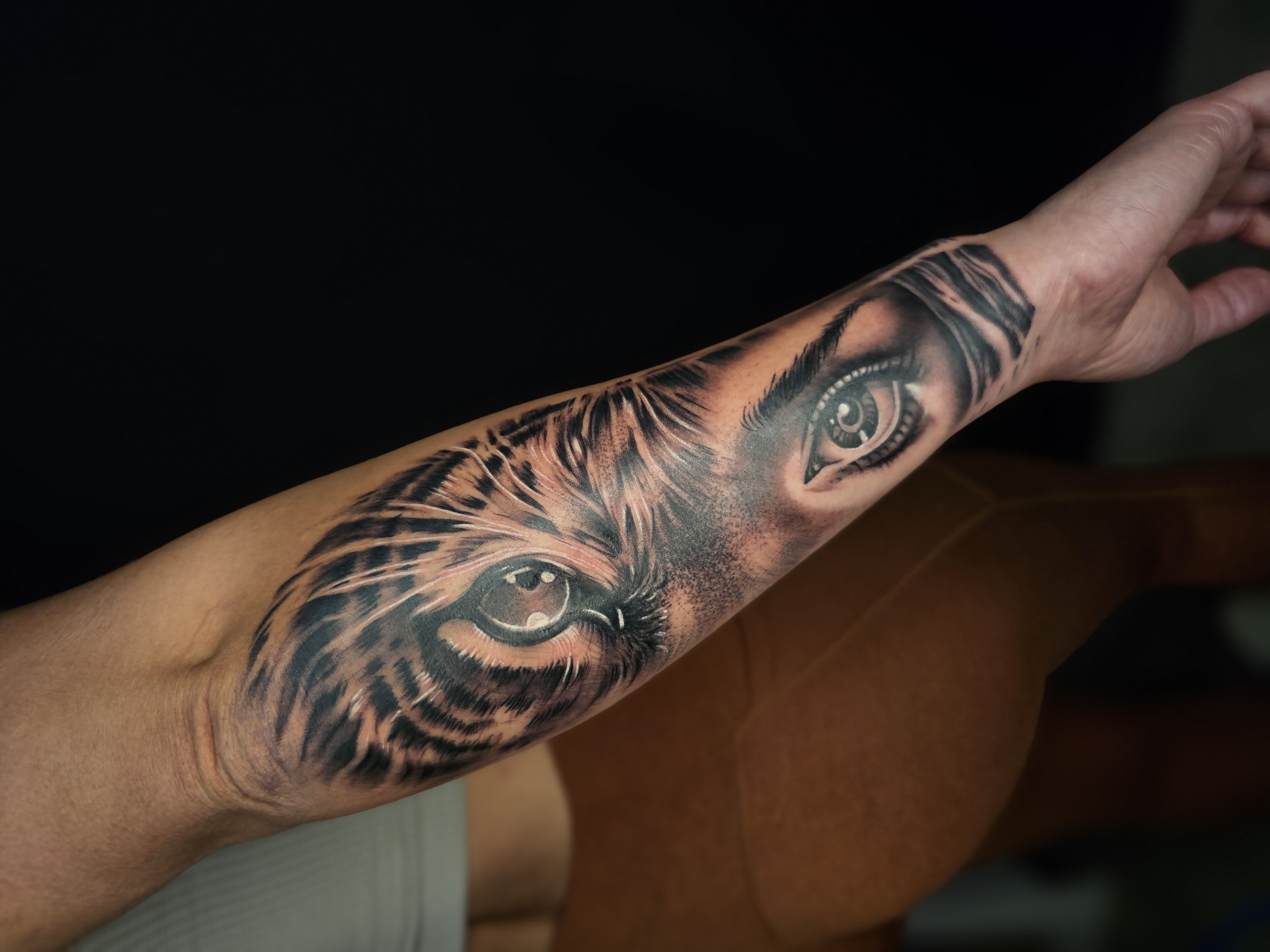 New Zealand - Tattoo Studio