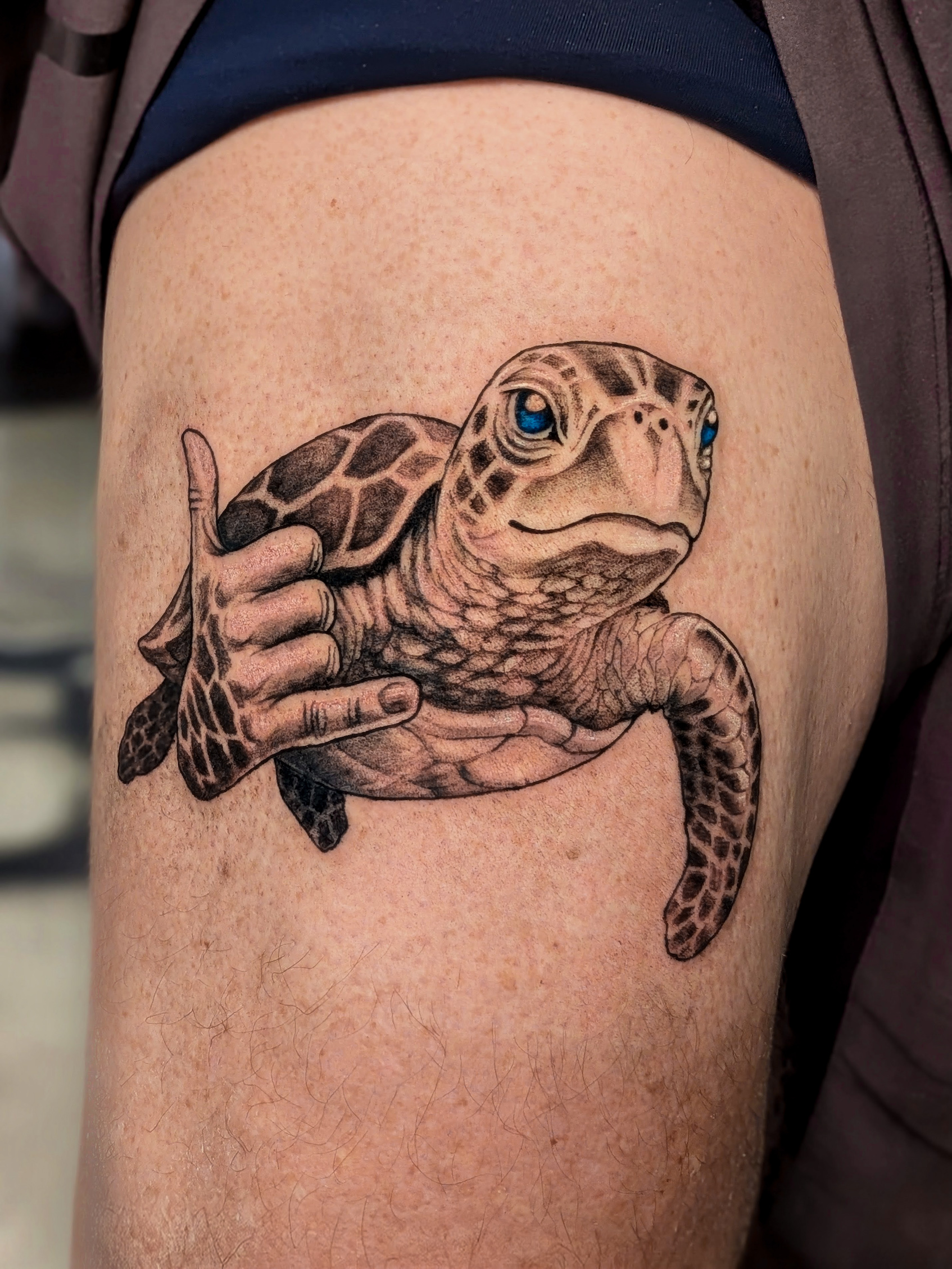 Black-and-Grey-Turtle-tattoo-christchurch