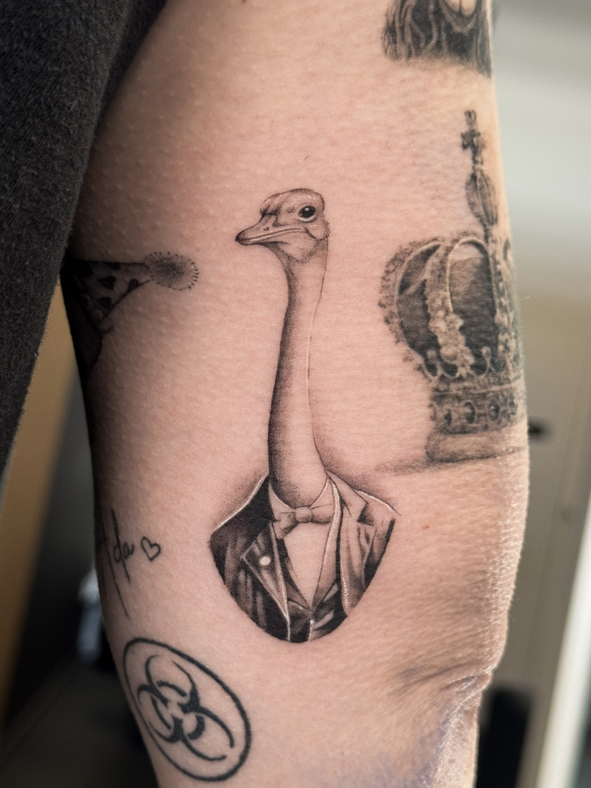 Black-and-grey-minature-realism-ostrich-tattoo-christchurch