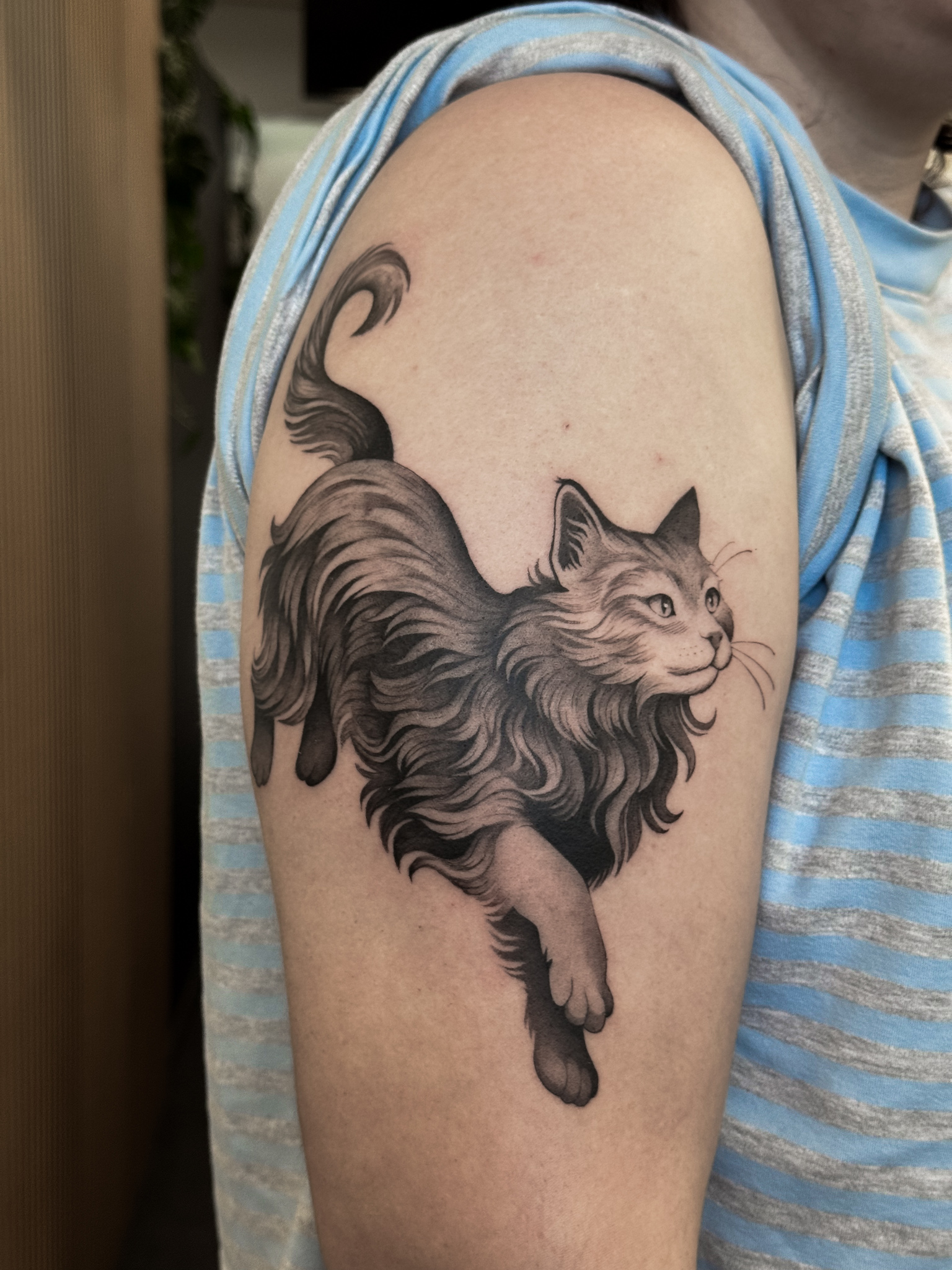blackwork-cat-tattoo-christchurch