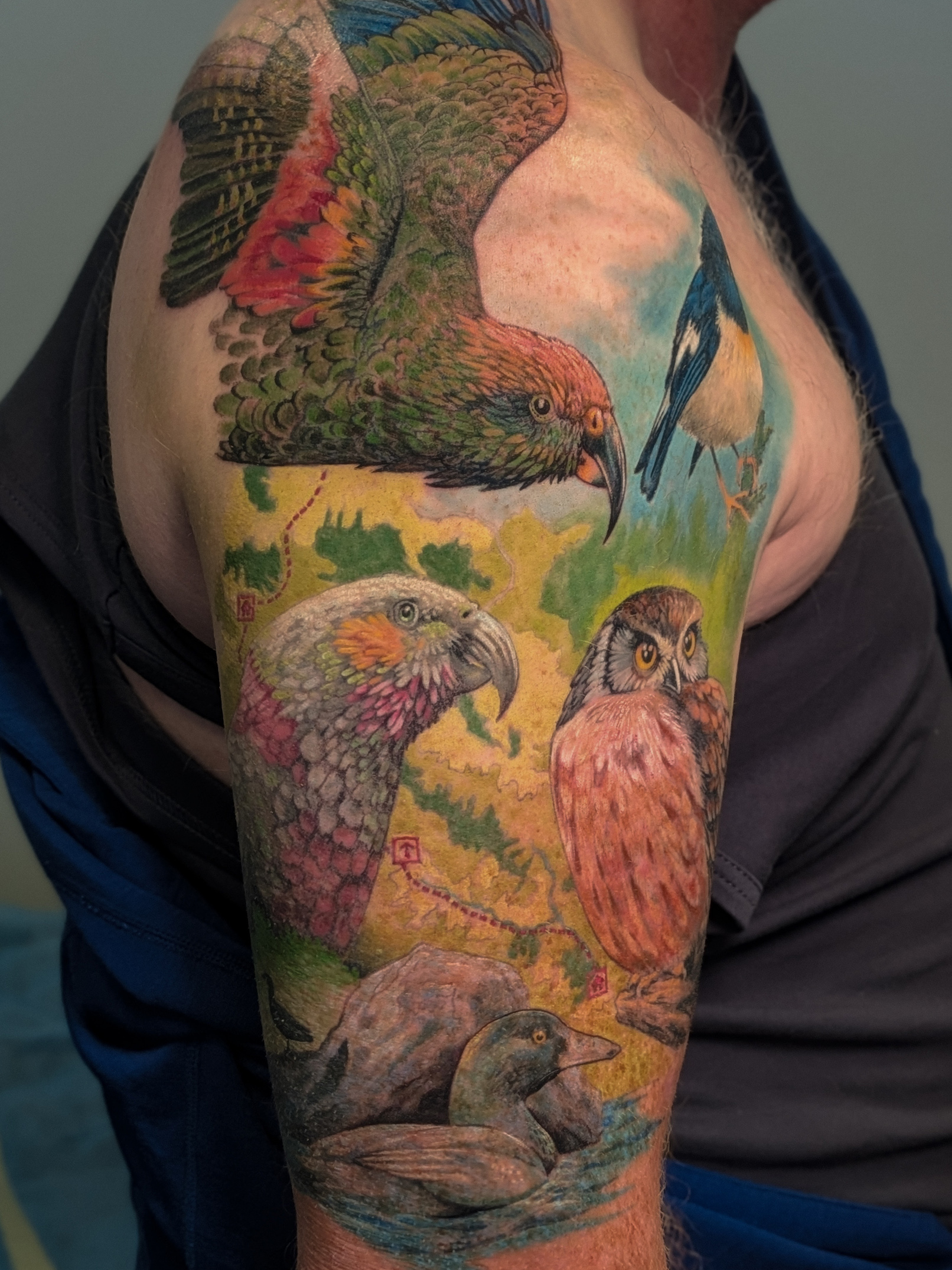 colour-nz-native-bird-sleeve-tattoo-christchuch