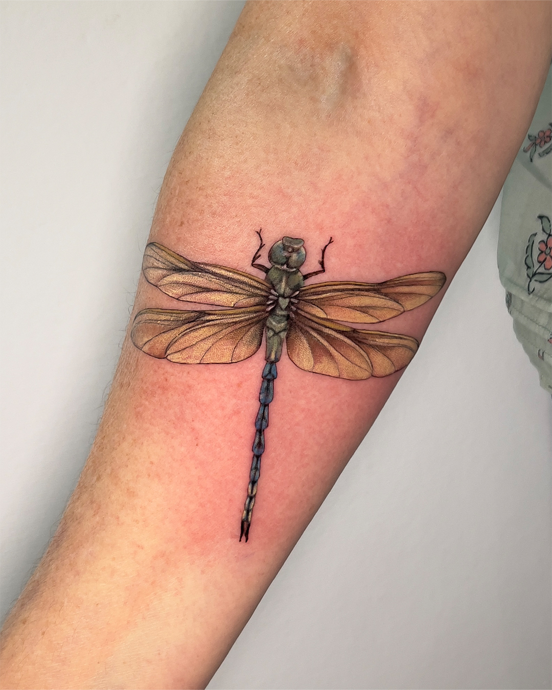 colour-realism-dragon-fly-tattoo-christchurch