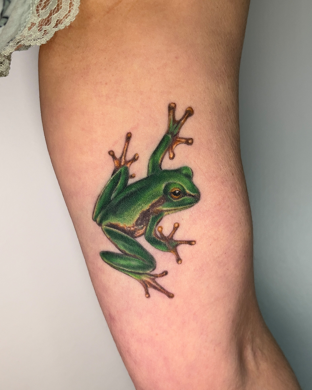 colour-realism-frog-tattoo-christchurch