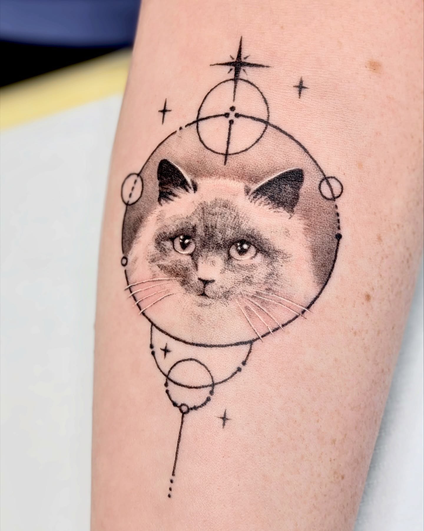 miniature-cat-portrait-tattoo-christchurch