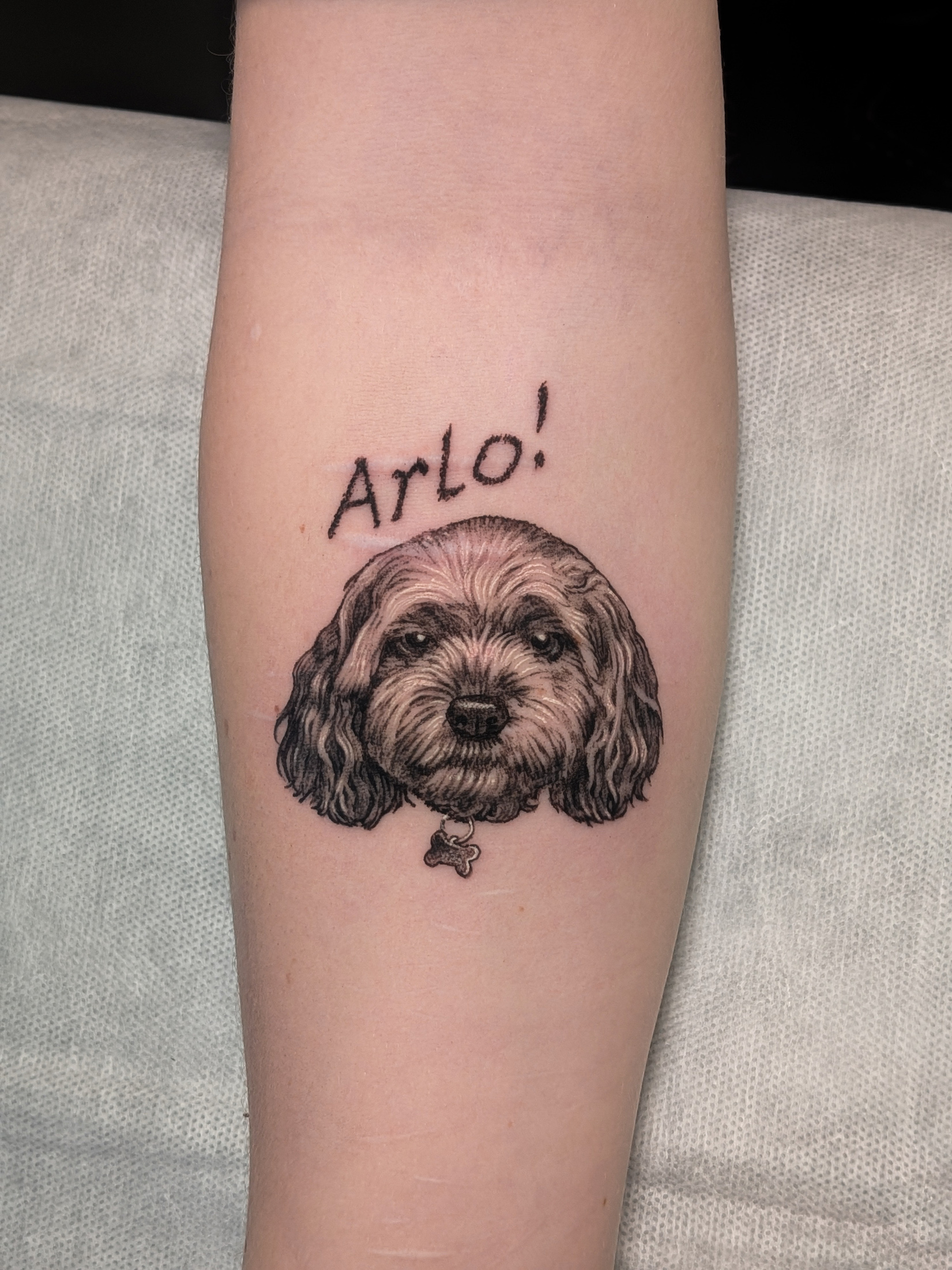 miniature-realism-dog-cavoodle-portrait-tattoo-christchurch