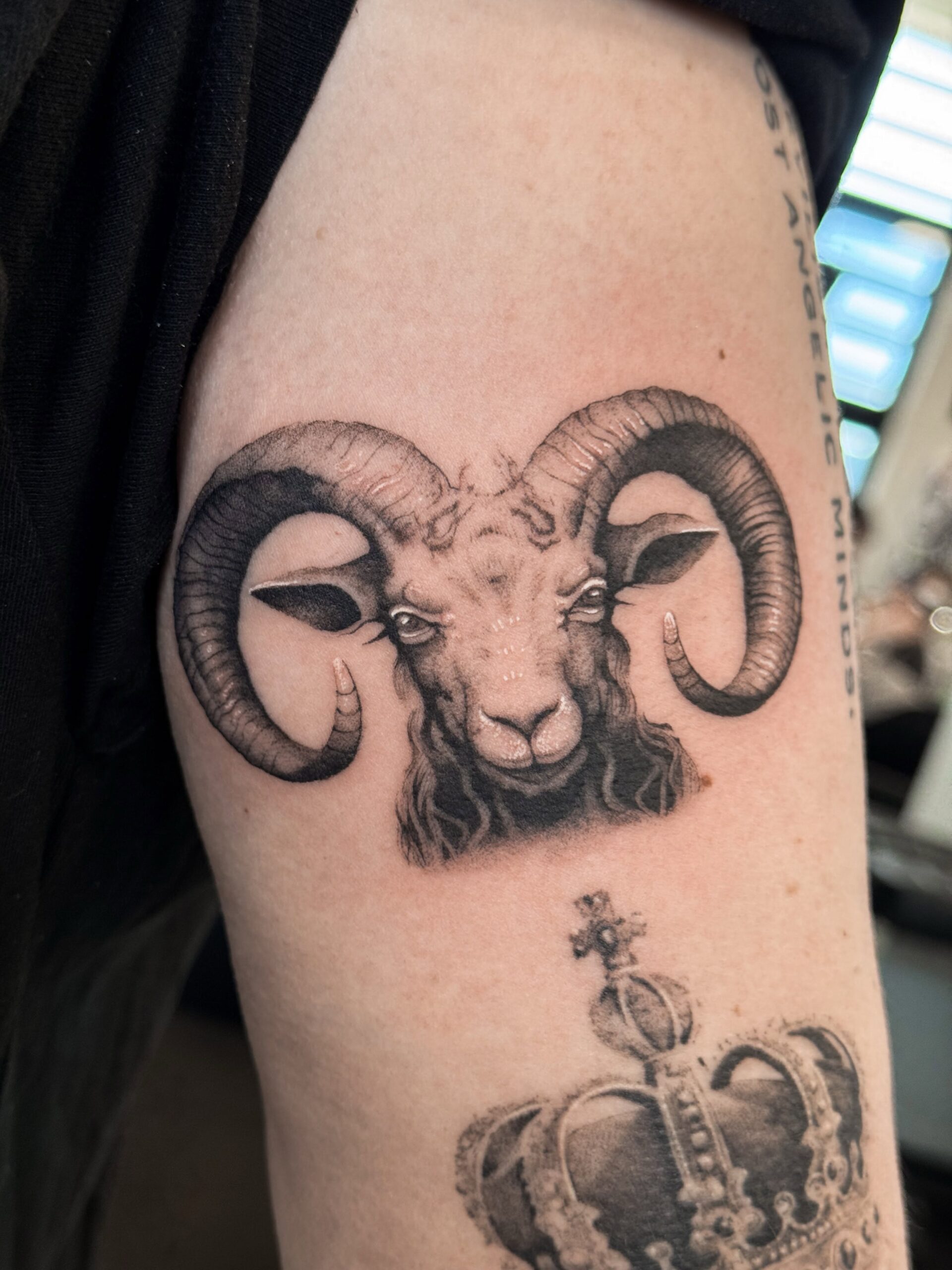miniature-realism-ram-tattoo-christchurch
