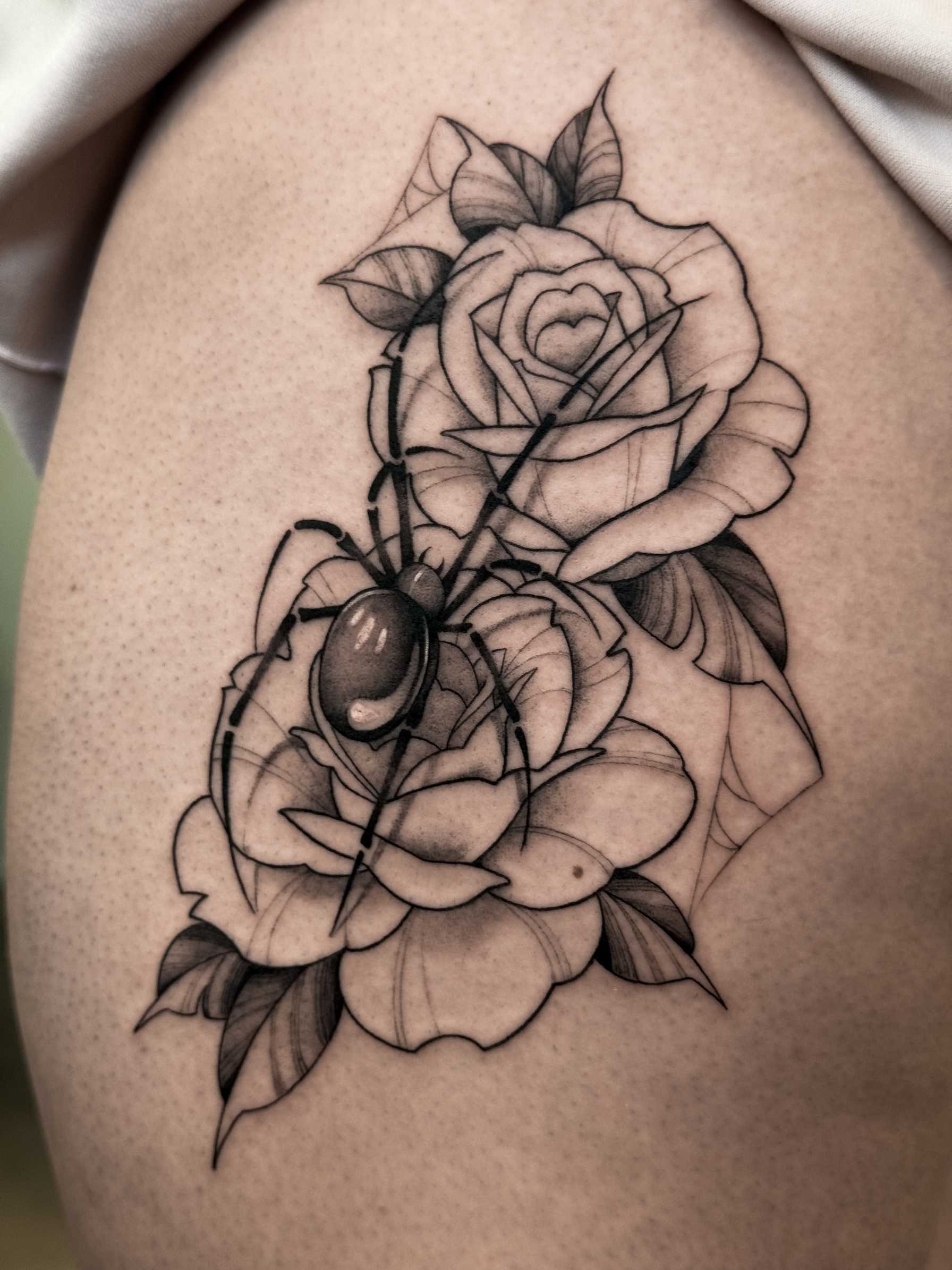 rose-and-spider-tattoo-christchurch