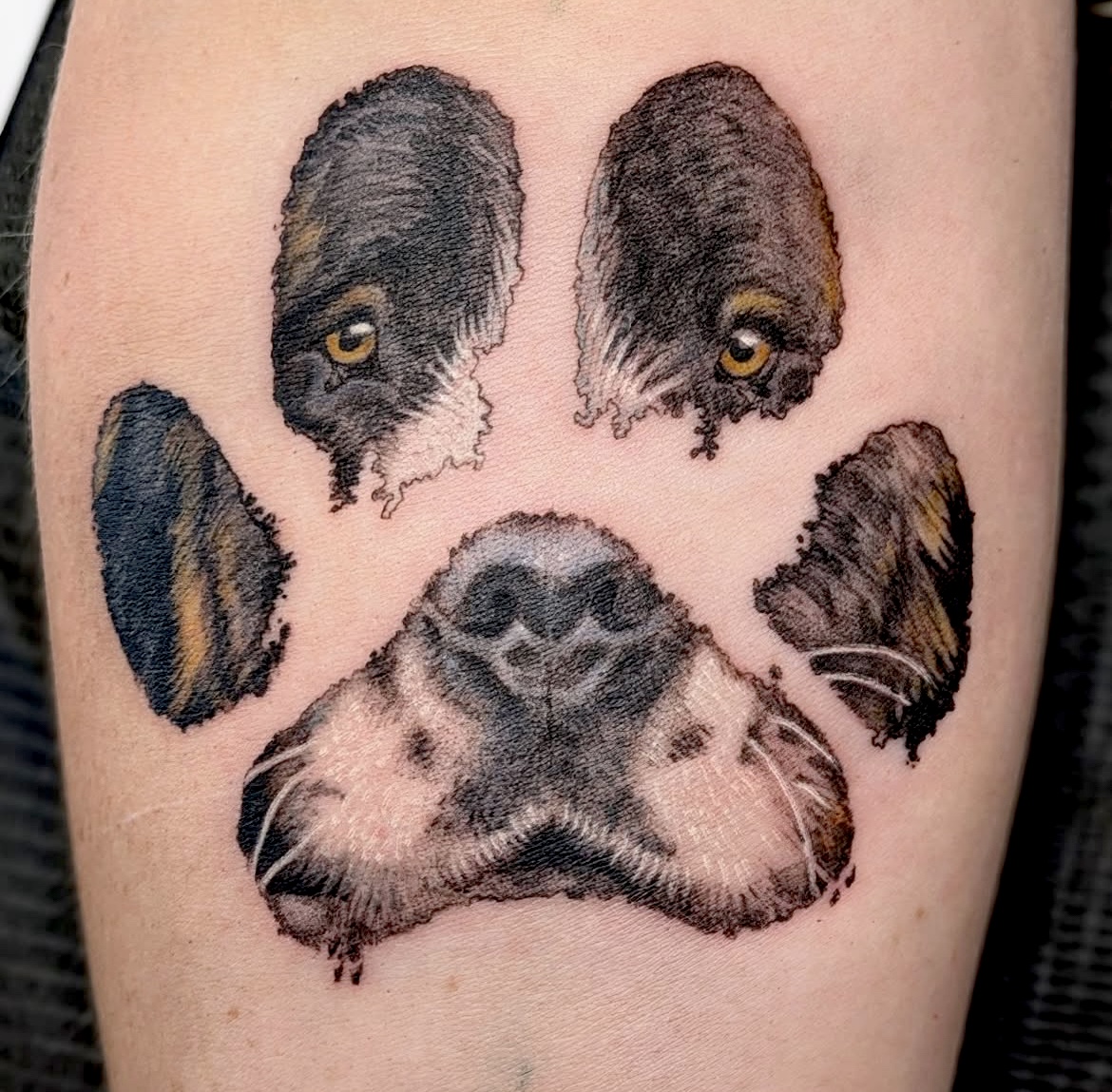 saint-bernard-tattoo-christchurch
