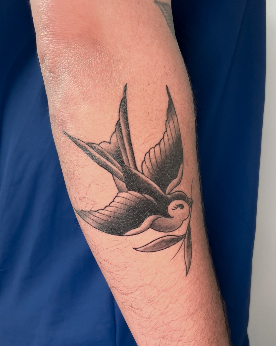 traditional-swallow-bird-tattoo-christchurch