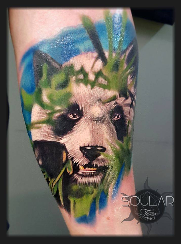 Colour-Panda-Tattoo-Christchurch