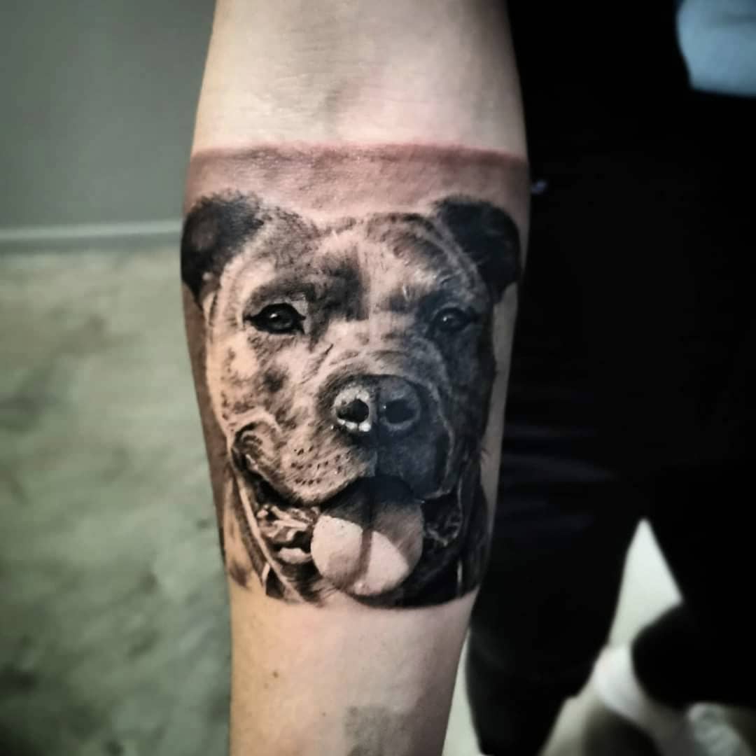 black-and-grey-dog-portrait-tattoo-christchurch