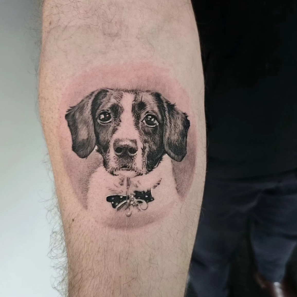 black-and-grey-minature-dog-portrait-tattoo-christchurch