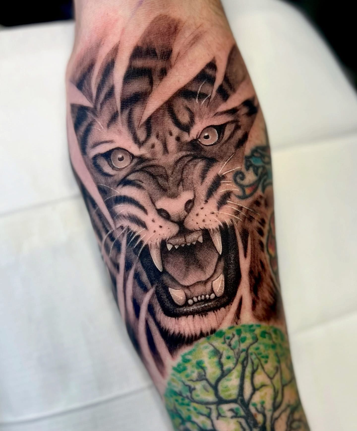 black-and-grey-realism-tiger-soular-tattoo-christchurch
