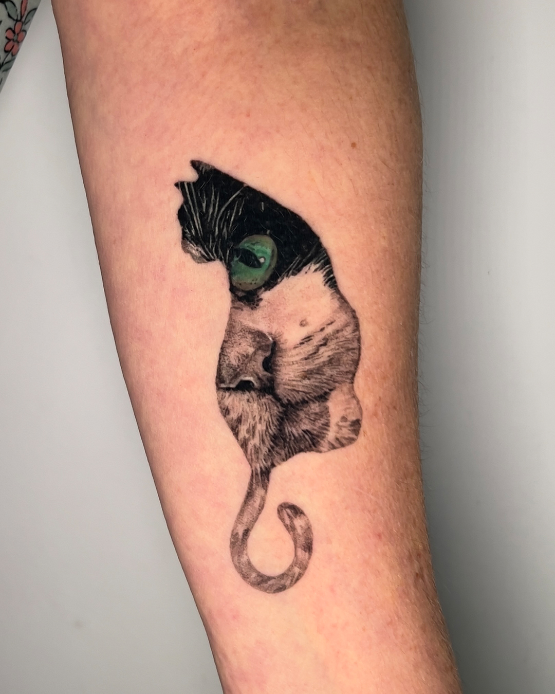 colour-cat-portrait-tattoo-christchurch