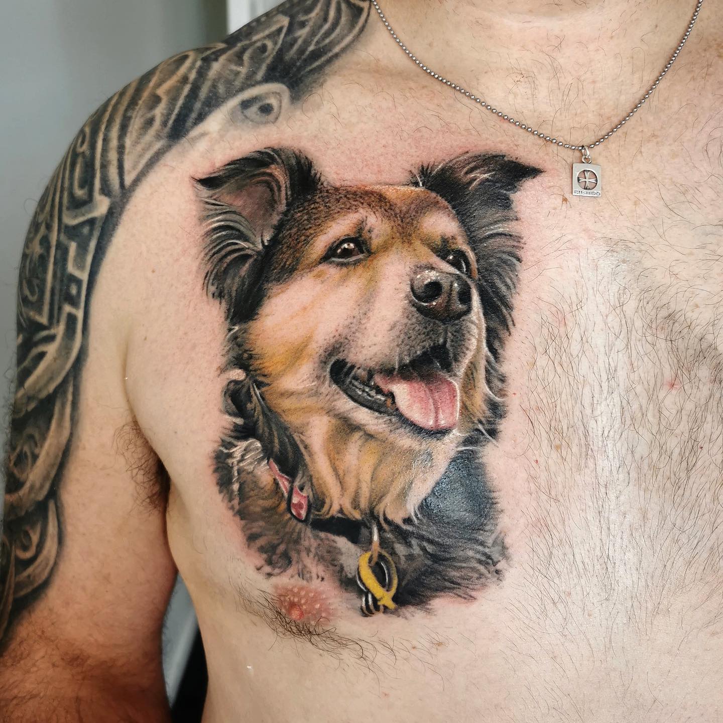 colour-dog-portrait-tattoo-christchurch-nz