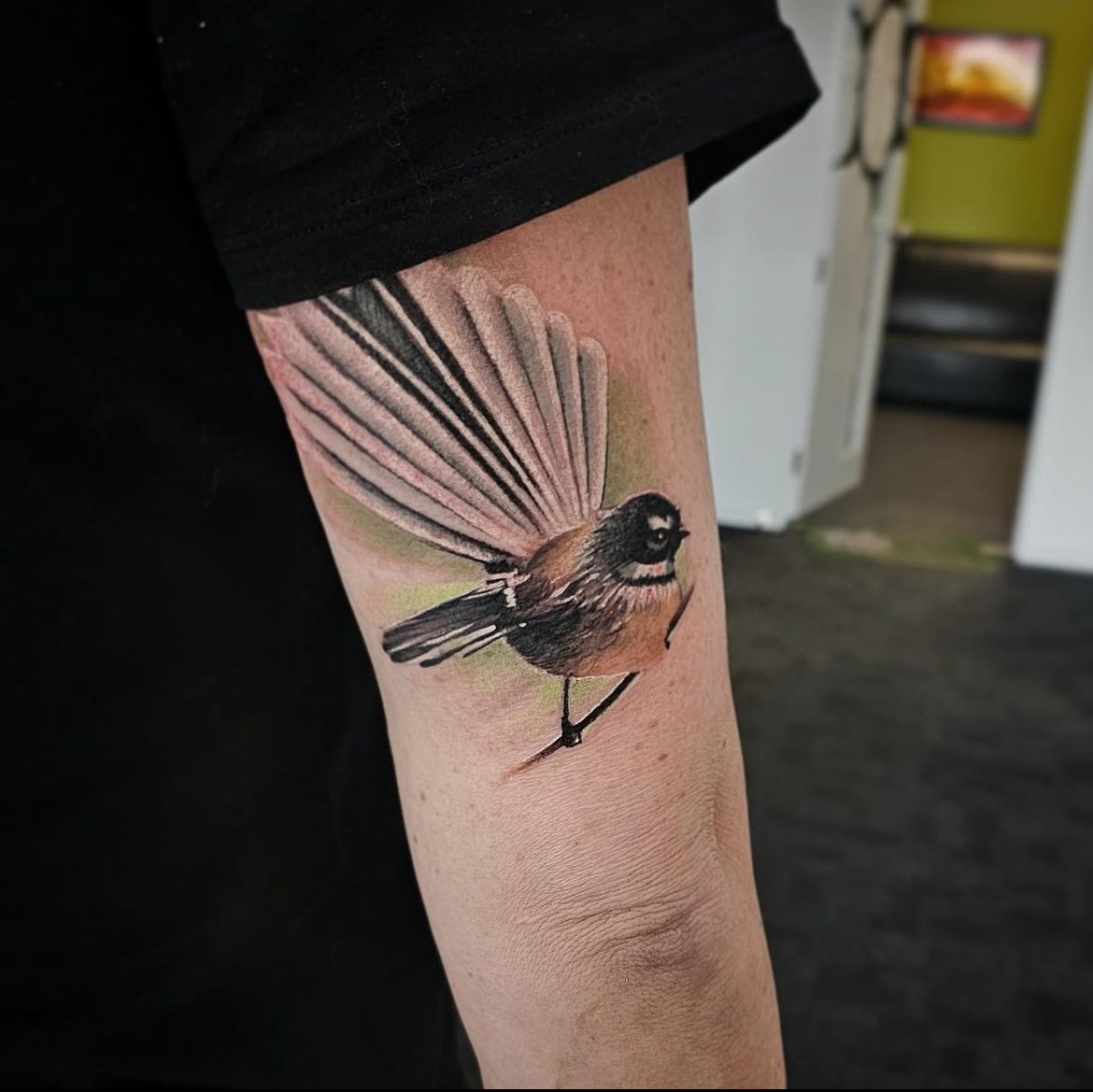 colour-fantail-tattoo-christchurch