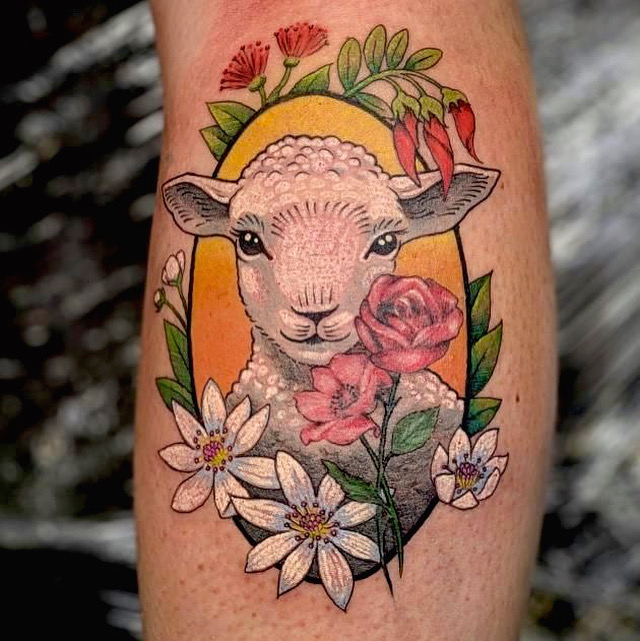 colour-lamb-tattoo-christchurch