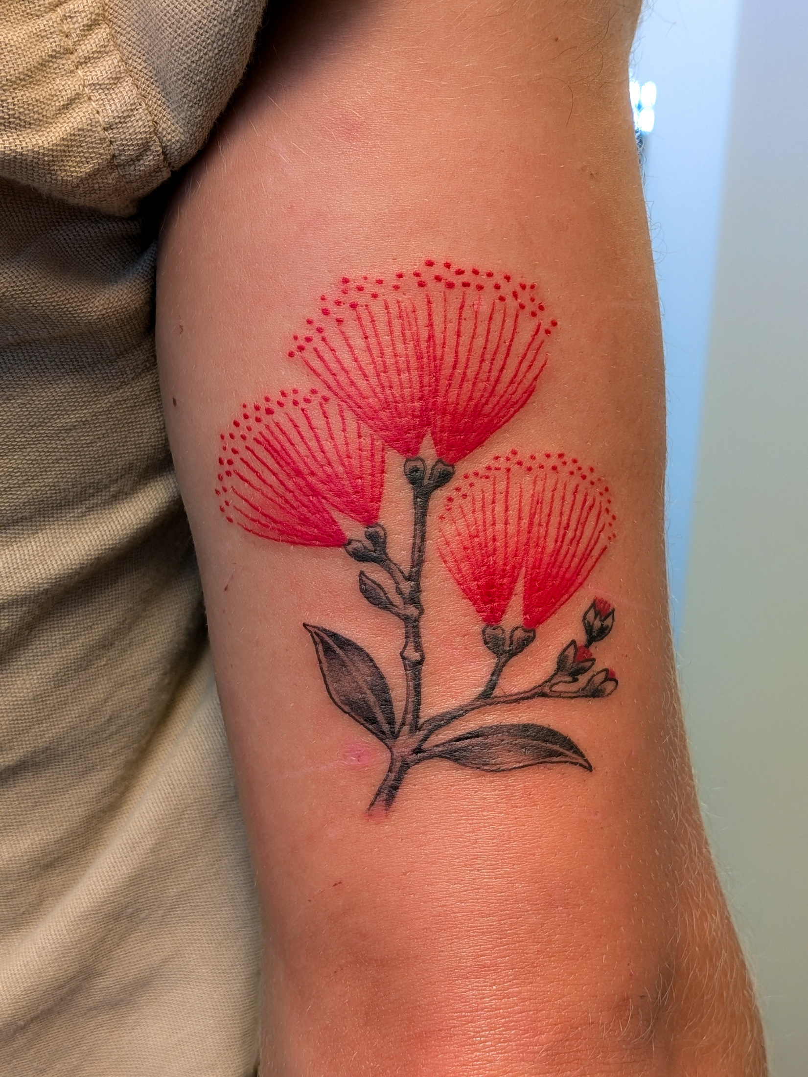 colour-pohutukawa-tattoo-christchurch