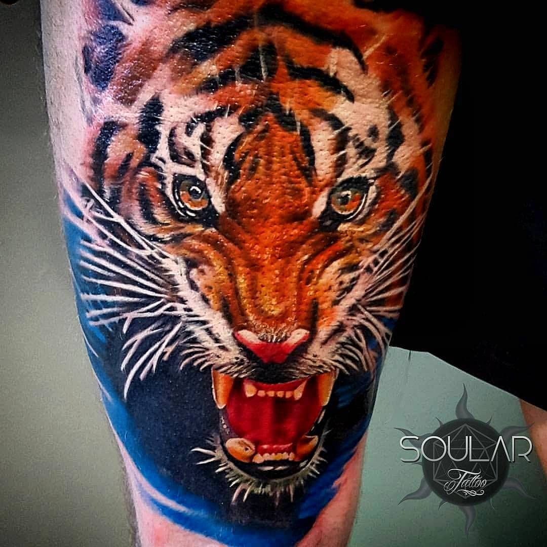 colour-tiger-tattoo-christhchurch-nz