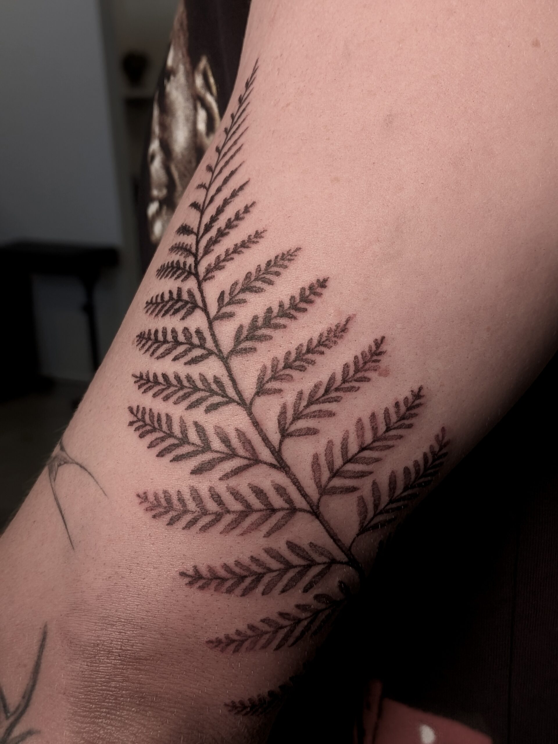 fern-tattoo-nz-christchurch