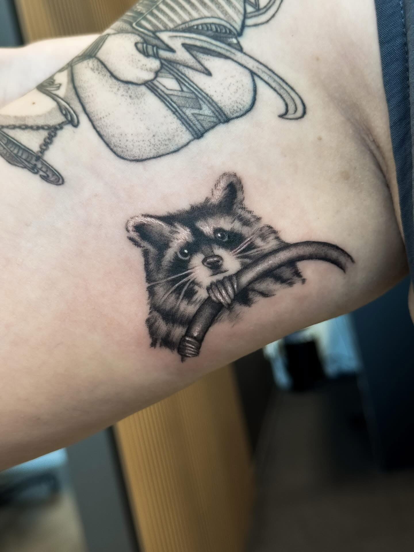 miniature-realism-raccoon-tattoo-christchurch