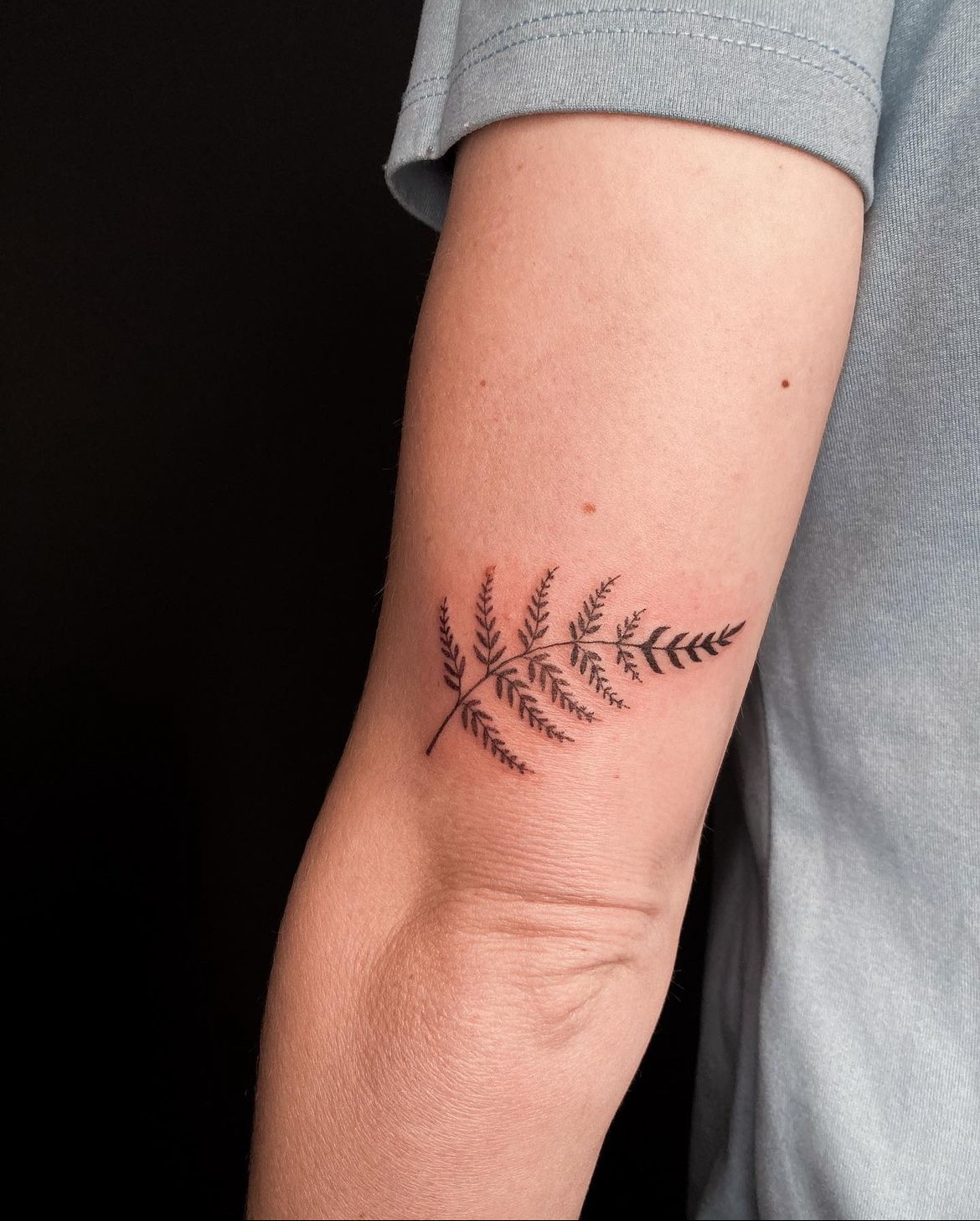 nz-fern-tatttoo-christchurch