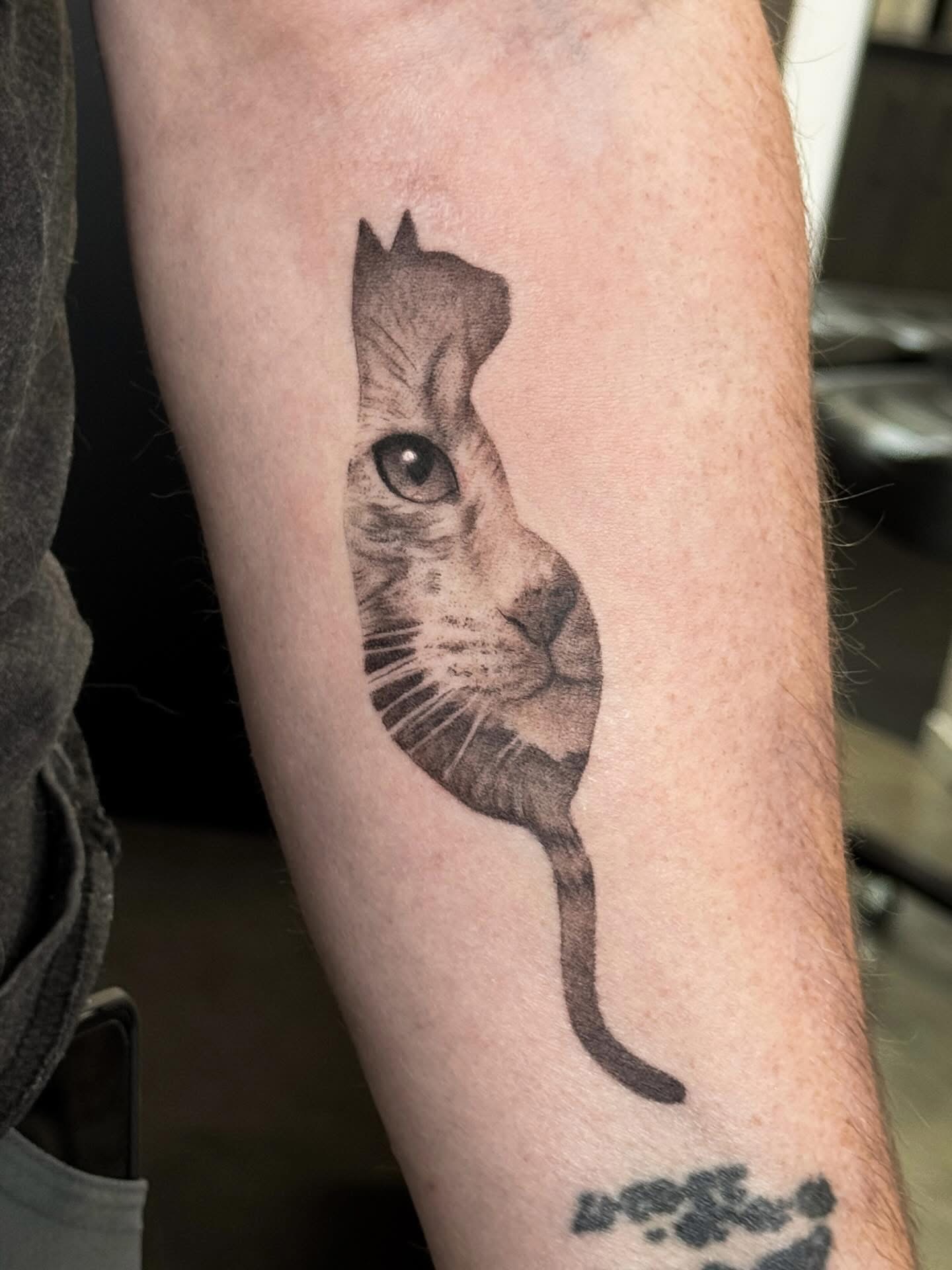realism-cat-portiait-tattoo-christchurch