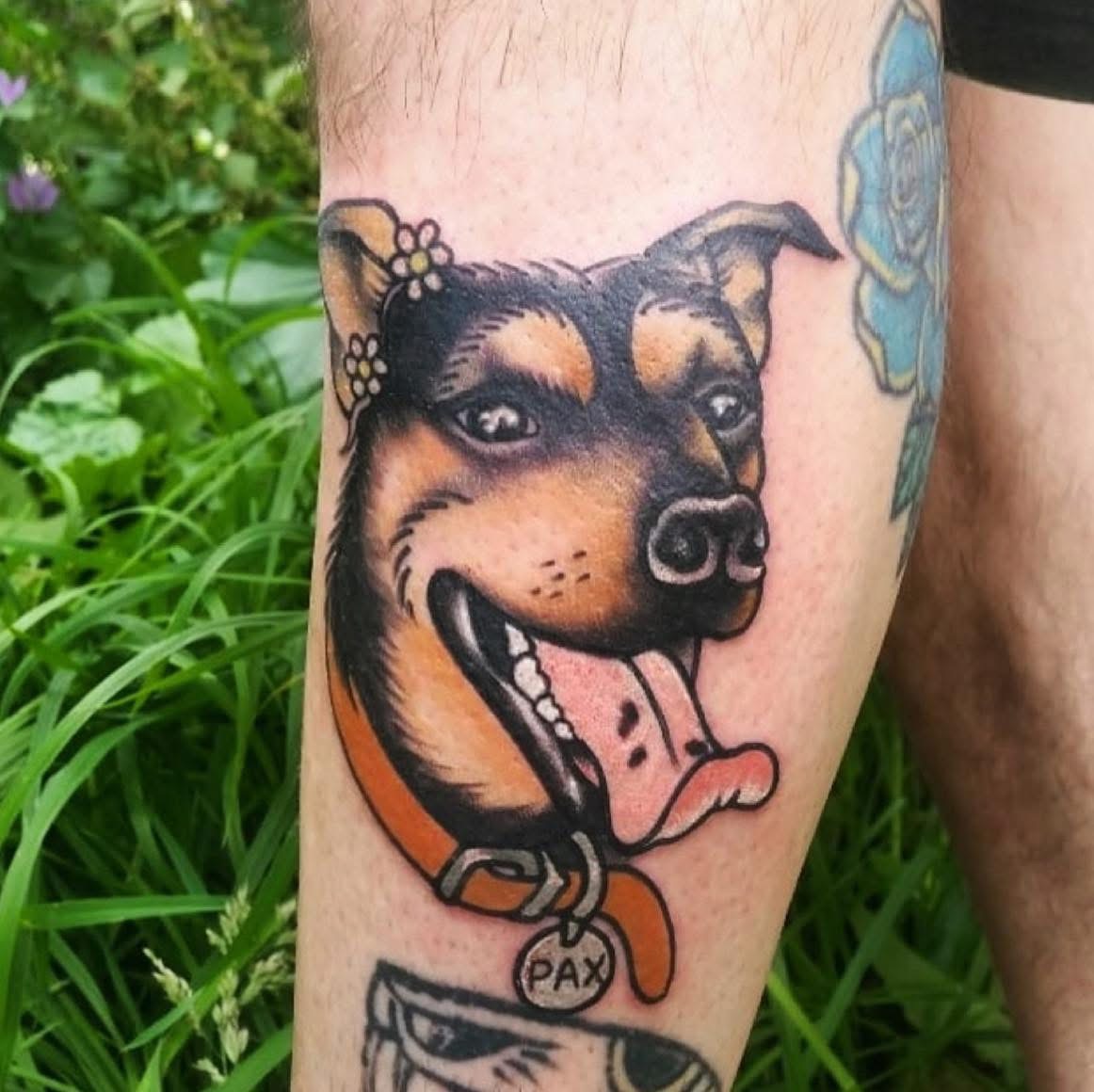 traditional-dog-portrait-christchurch