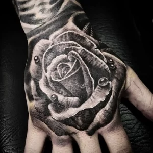 New Zealand - Tattoo Studio